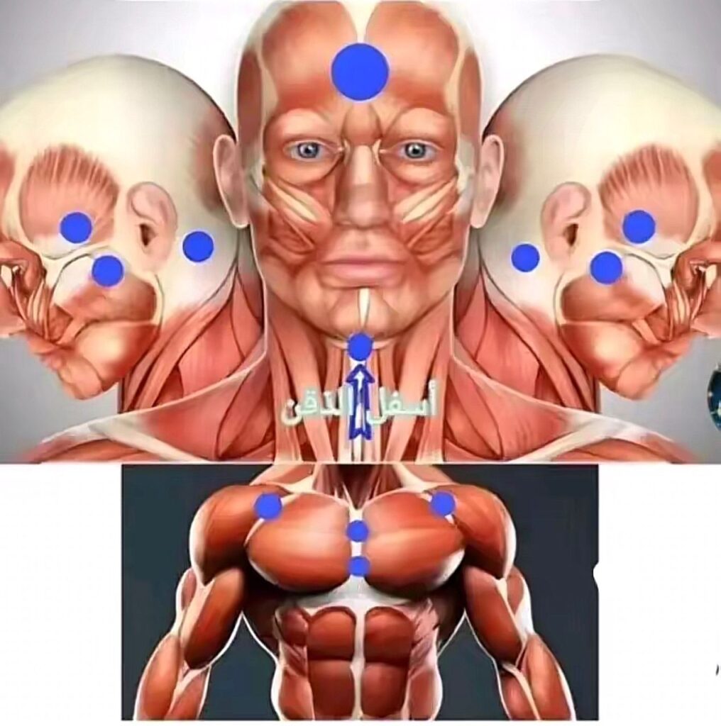 La Hijama contre les douleurs lombaires et cervicales