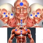 La Hijama contre les douleurs lombaires et cervicales